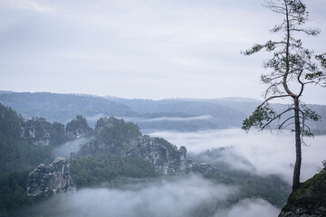 fog in the mountains