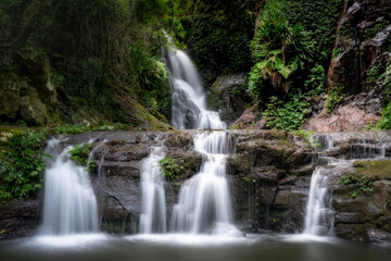 Obraz premium waterfall in the forest