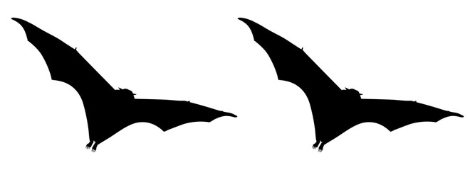 Fototapeta premium Silhouette of the Pair of Flying Fox or Bat for Icon, Symbol, Art Illustration, Pictogram, Logo, Website, or Graphic Design Element. Format PNG