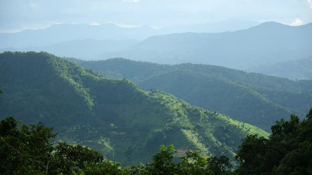 Landscape image of a beautiful rainforest and mountains view