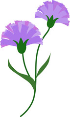 Cartoon botanic garden plant flower purple carnation