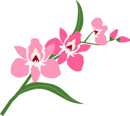 Naklejka na ściany i meble Cartoon botanic garden plant flower pink orchid