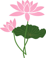 Cartoon botanic garden plant flower pink lotus