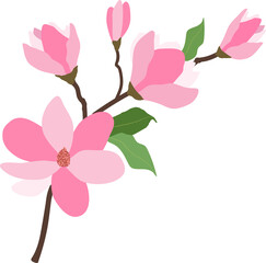 Cartoon botanic garden plant flower pink magnolia