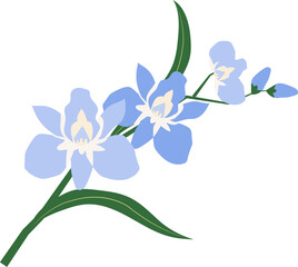 Cartoon botanic garden plant flower light blue orchid