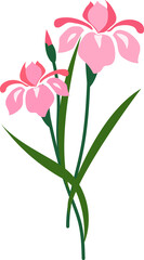Cartoon botanic garden plant flower pink iris