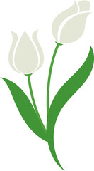 Fototapeta na wymiar Cartoon botanic garden plant flower white tulip
