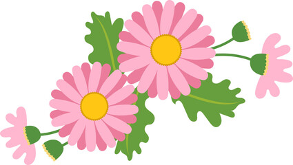 Cartoon botanic garden plant flower pink daisy