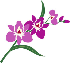 Cartoon botanic garden plant flower purple orchid