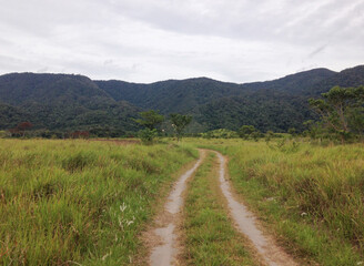 Fototapeta na wymiar Country road in Bada Central Sulawesi Indonesia. High resolution image