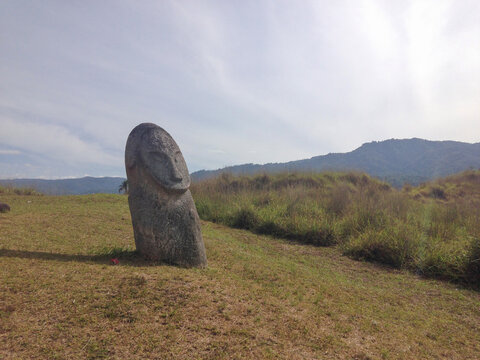 Ancient megalitikum stone in Bada, Central Sulawesi Indonesia, in high resolution images