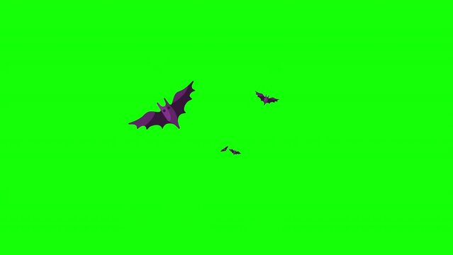 halloween bat flying loop motion graphics video transparent background with alpha channel