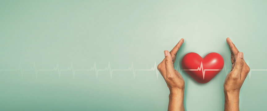 Medical red heart with cardiogram chart line in hand background, medical heart health care concept for world heart day