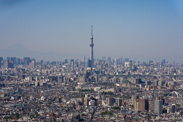 Naklejka premium Greater Tokyo area city view with Tokyo Skytree at daytime.