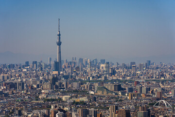 Fototapeta na wymiar Greater Tokyo area city view with Tokyo Skytree at daytime.