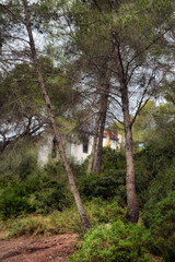 um rinc&oacute;n en Les Ferreres, Tarragona