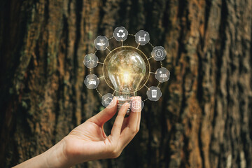 Hand holding light bulb against nature in front of tree background with icons energy sources for renewable, sustainable development. Ecology. energy-saving and environmental concepts on Earth Day.