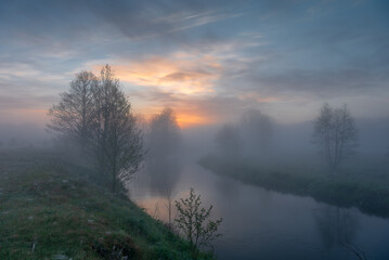 Plakat morning mist over the river