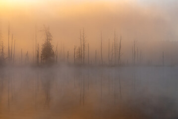 misty morning on the river