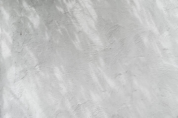 White cement wall background and textured with shadow of leaves