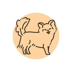 Chihuahua color line icon. Dog breed.