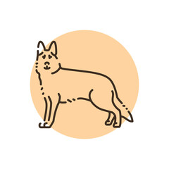 German Shepherd color line icon. Dog breed.