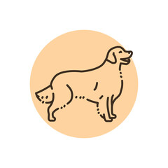 Golden retriever color line icon. Dog breed.