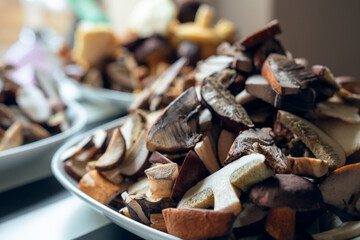 plates full of cleaned, sliced, colored mushrooms. Bay bolete, larch bolete, slippery jack, orange birch bolete.