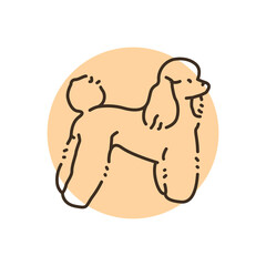 Poodle color line icon. Dog breed.