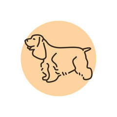 Spaniel color line icon. Dog breed.