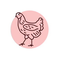 Chicken bird color line icon. Pictogram for web page