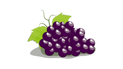 black grapes premium design