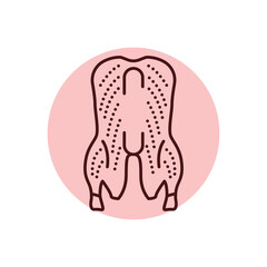 Duck carcass color line icon. Cutting meat.
