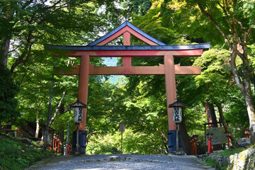 Naklejka premium 滋賀県日吉大社の合掌形が珍しい山王鳥居