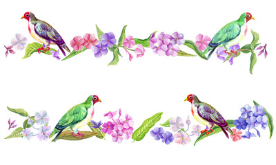  Watercolor border with summer flowers and birds. Transparent layer