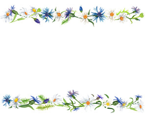  Watercolor border with summer flowers. Transparent layer