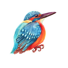 Watercolor tropical bird . Transparent layer.