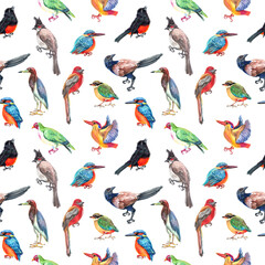 Watercolor seamless pattern with birds . Transparent layer.