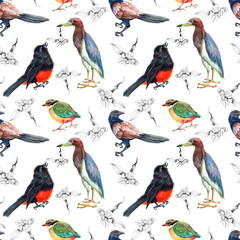Obraz premium Watercolor seamless pattern with birds and flowers. Transparent layer.