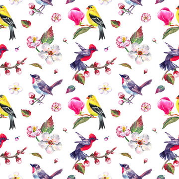 Watercolor seamless pattern with birds and spring flowers. Transparent layer.