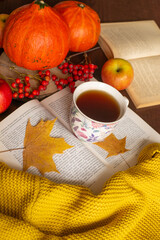 
cup of tea cozy knitted sweater book yellow maple leaves aplles and pumpkin. Autumn mood. Autumn home comfort