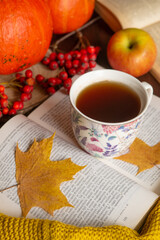 
cup of tea cozy knitted sweater book yellow maple leaves aplles and pumpkin. Autumn mood. Autumn home comfort