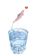 dauphin à bosse indo-pacifique , ballon, balle, sauter, giclé, jouer, en verre, liquide, froid, verser, clapoter, abattre, fraîcheur