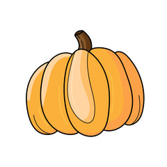Cartoon festive vector pumpkin, isolated on white background. Traditional thanksgiving food or Halloween symbol