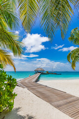 Beautiful tropical Maldives island scene blue sea, blue sky holiday vacation vertical background. Wooden pathway, pier. Amazing summer travel concept. Ocean bay palm trees sandy beach. Exotic nature