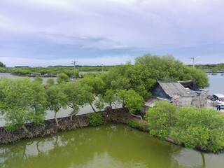 Fototapeta na wymiar Mangrove ponds in Mengare Gresik East Java Indonesia