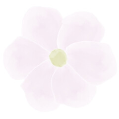 One watercolor pink flower. Element for wedding invitations, greeting cards. Transparent PNG clipart