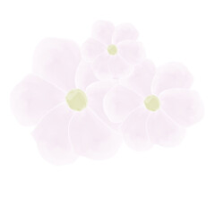Three pink watercolor flowers. Transparent PNG clipart. Element for wedding invitations, greeting cards.