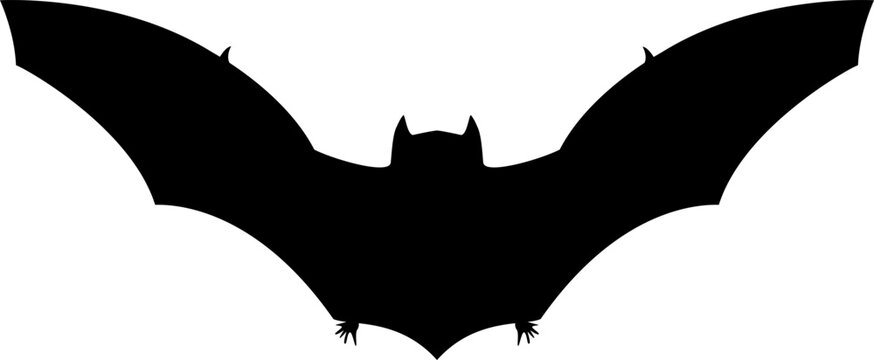 A bat on a white background. Kelelawar.  cave bloodsuck mouse. Halloween Simbol in vector