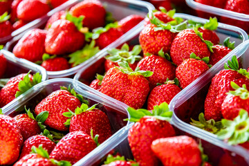Fresh strawberries in plastic boxes put up for sale in the store